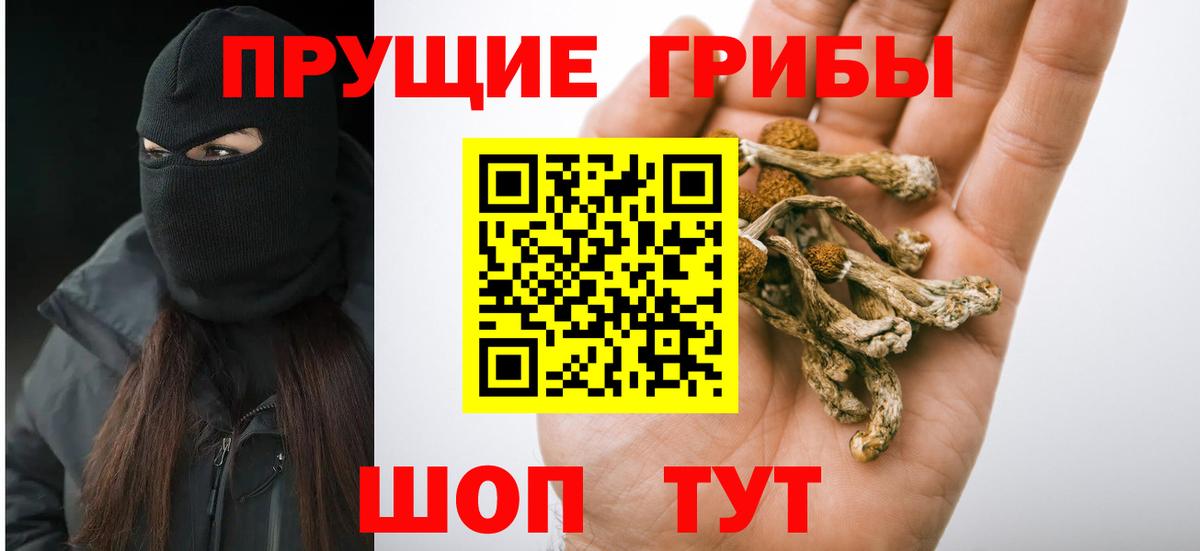 Галлюциногенные грибы Cubensis  купить наркотик  Домодедово  Вход с VPN 